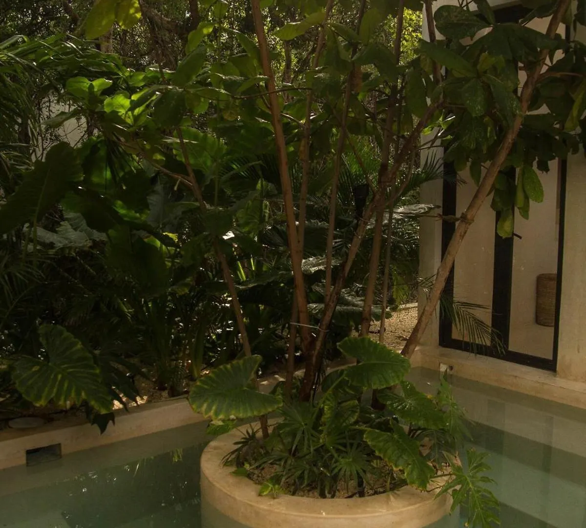 הוילה Chacalal Tulum Country Club Casa Pokolpok בית נופש